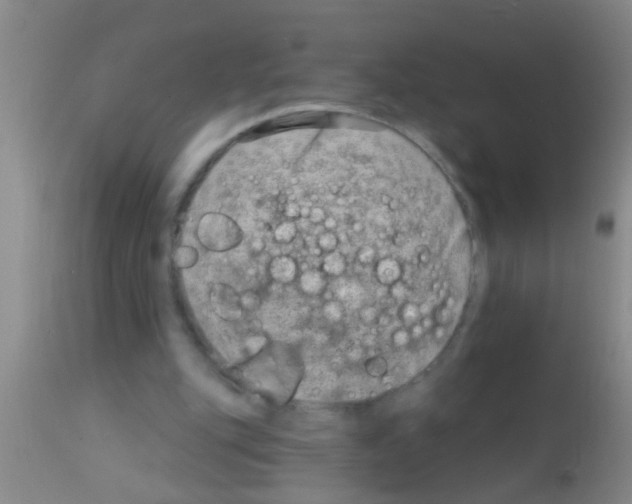 X0000111890151200909031913