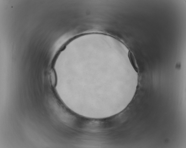 X0000111890152200909031913