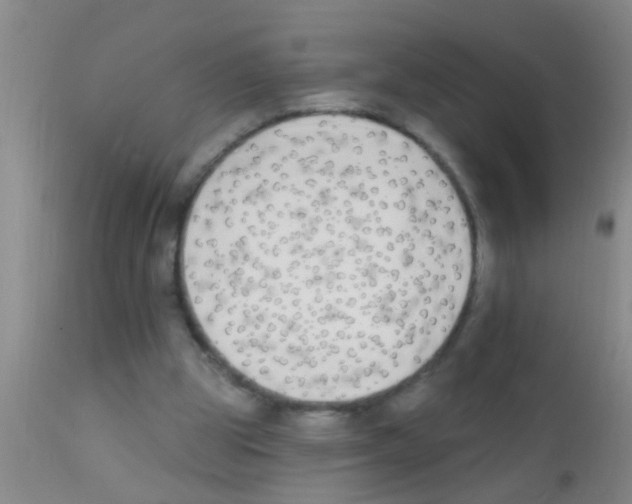 X0000111890153200909031913