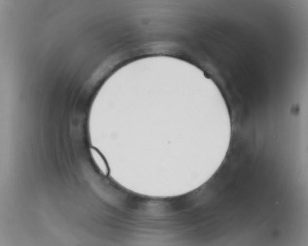 X0000111890154200909031913