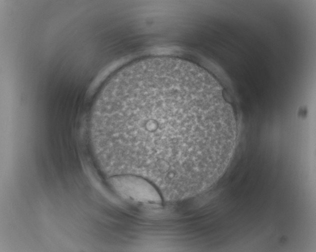 X0000111890155200909031913