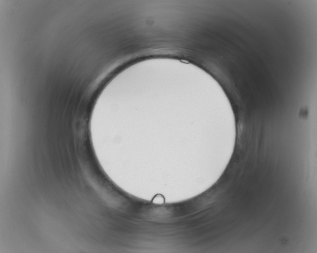 X0000111890156200909031913