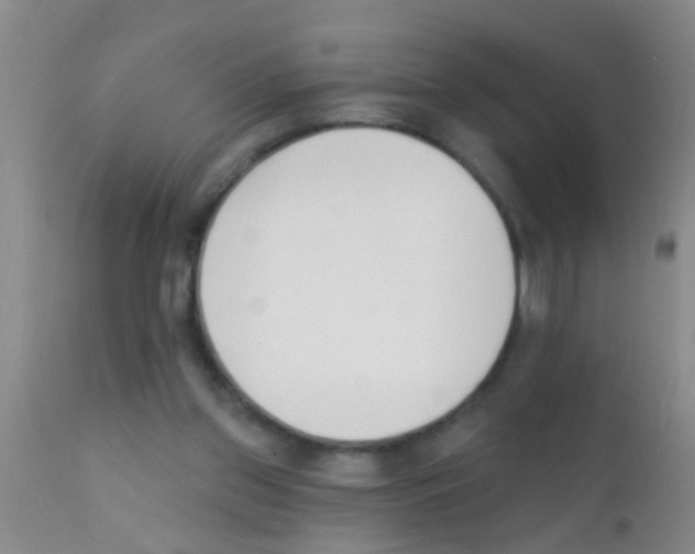 X0000111890157200909031913