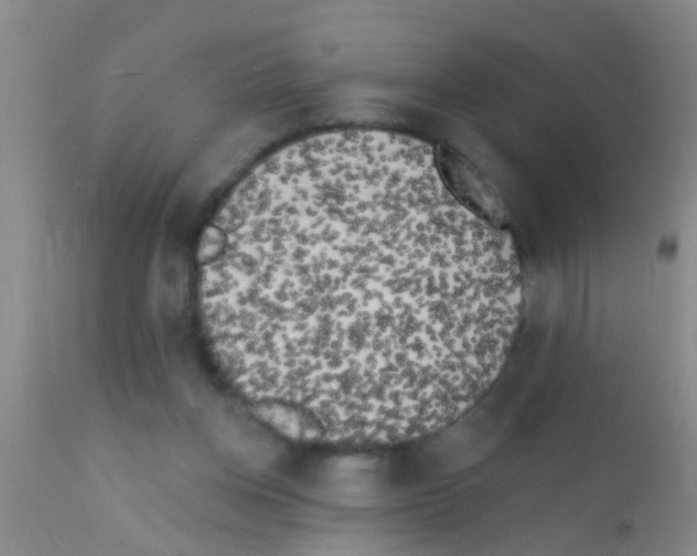 X0000111890158200909031913