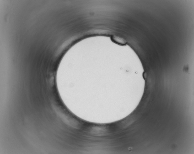 X0000111890160200909031913