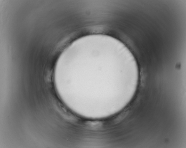 X0000111890161200909031913