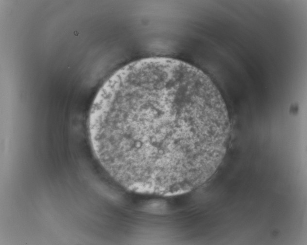 X0000111890162200909031913