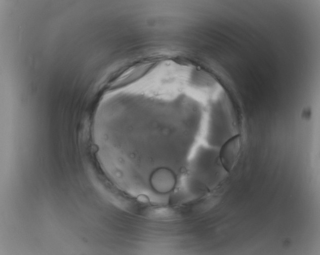 X0000111890163200909031913