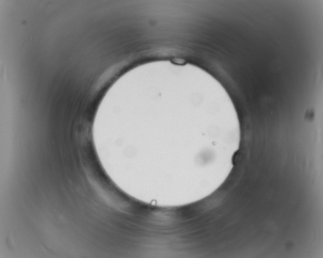 X0000111890164200909031913