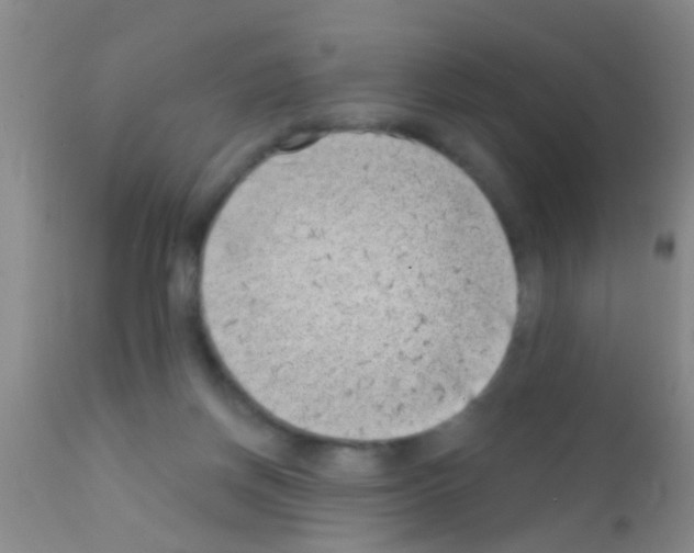 X0000111890166200909031913