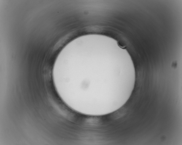 X0000111890168200909031913