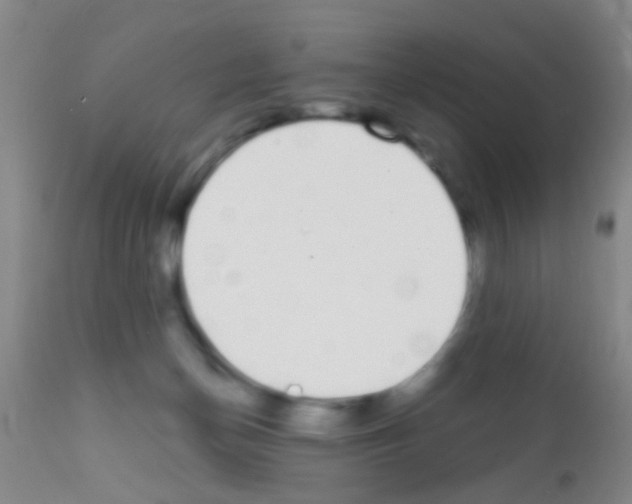 X0000111890174200909031913