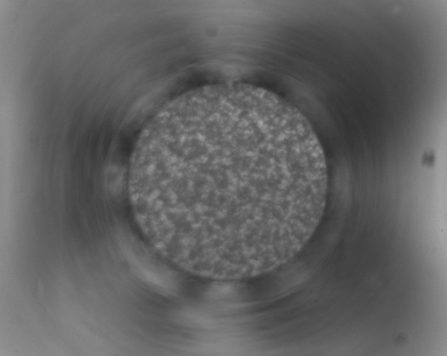 X0000111890177200909031913