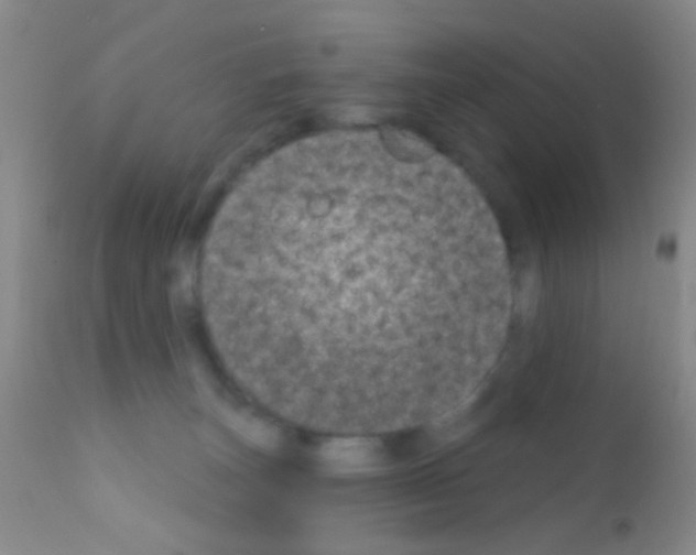 X0000111890179200909031913