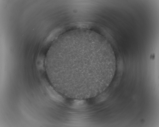 X0000111890185200909031913