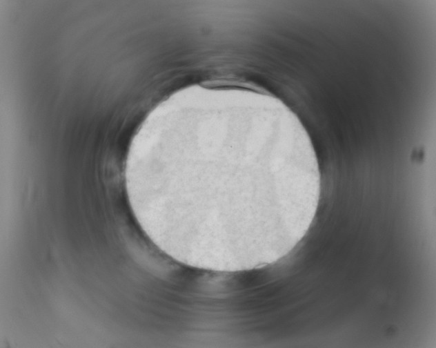 X0000111890186200909031913