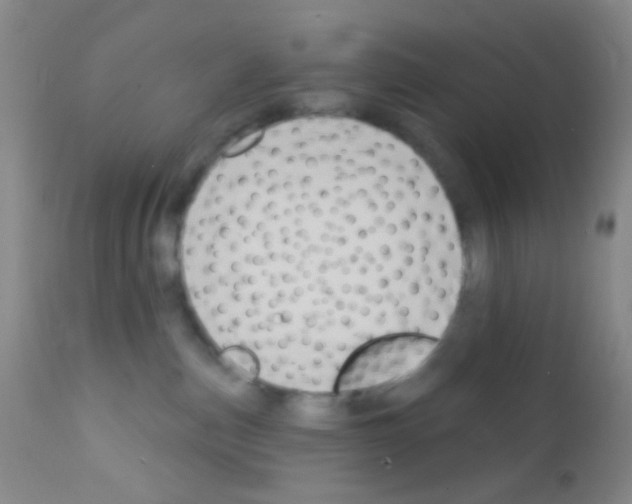 X0000111890187200909031913