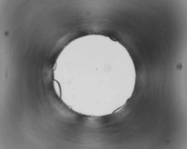 X0000111890188200909031913