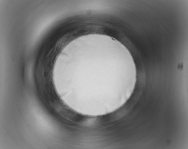 X0000111890189200909031913