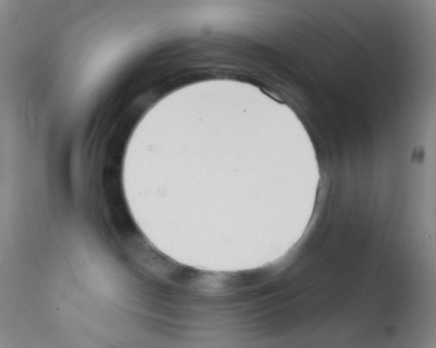 X0000111890190200909031913