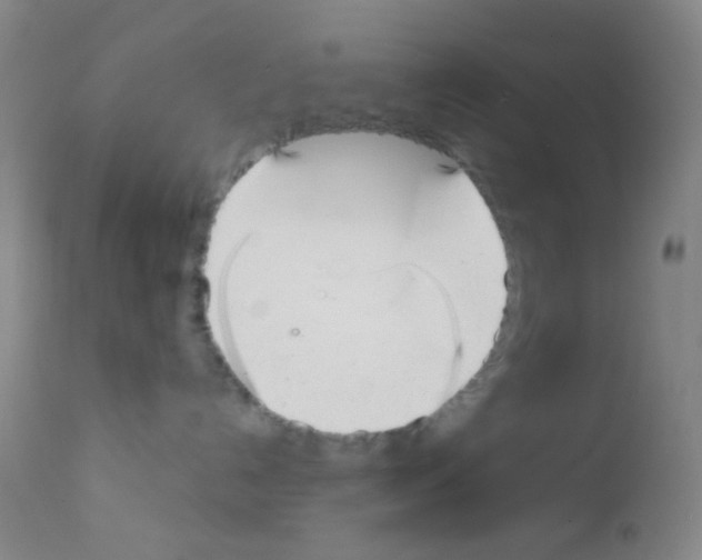 X0000111890192200909031914