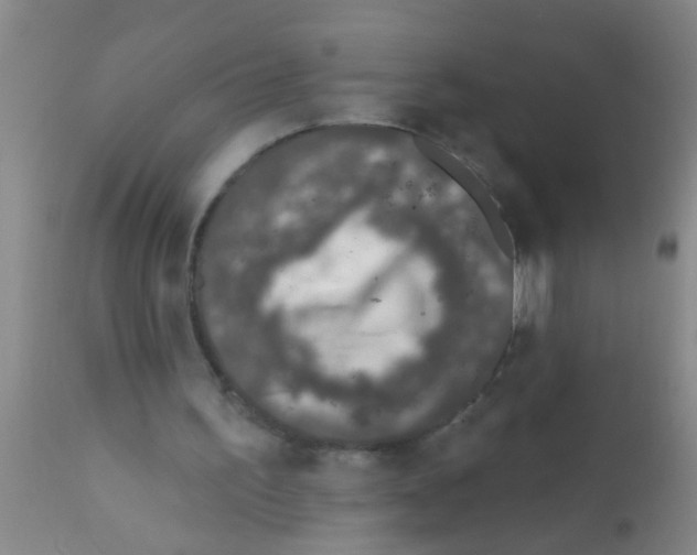 X0000111890195200909031913