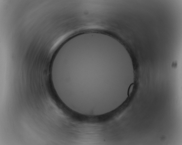 X0000111890196200909031913