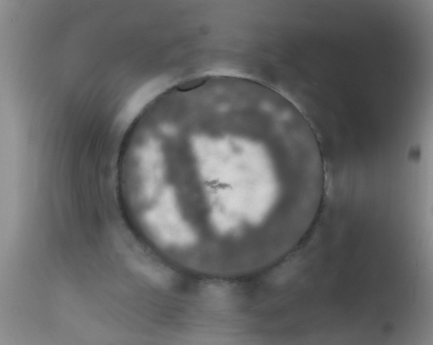 X0000111890199200909031913