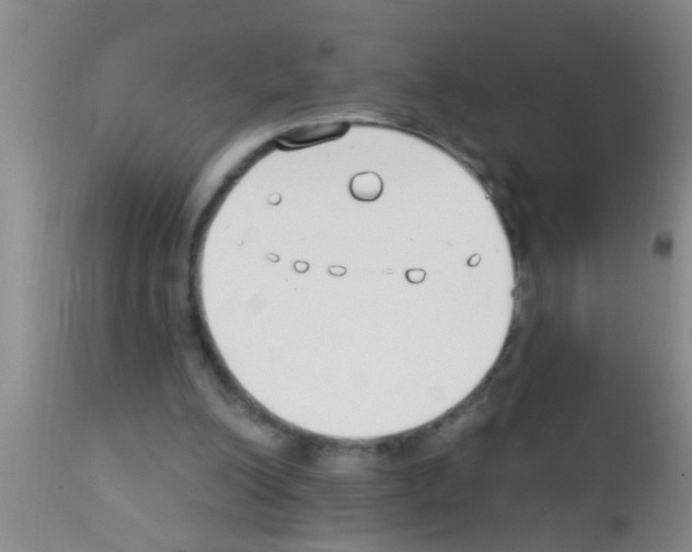 X0000111890200200909031913