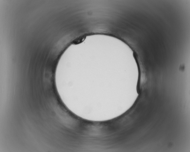 X0000111890201200909031913