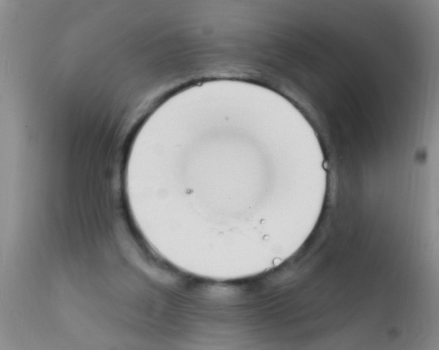 X0000111890203200909031913