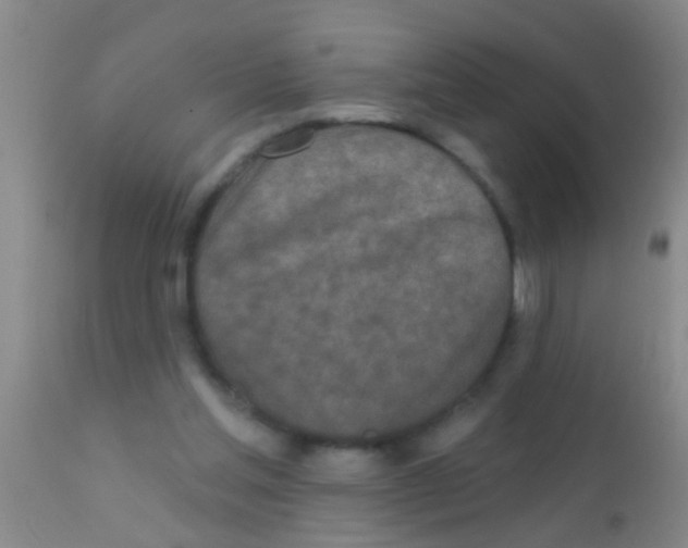 X0000111890205200909031913