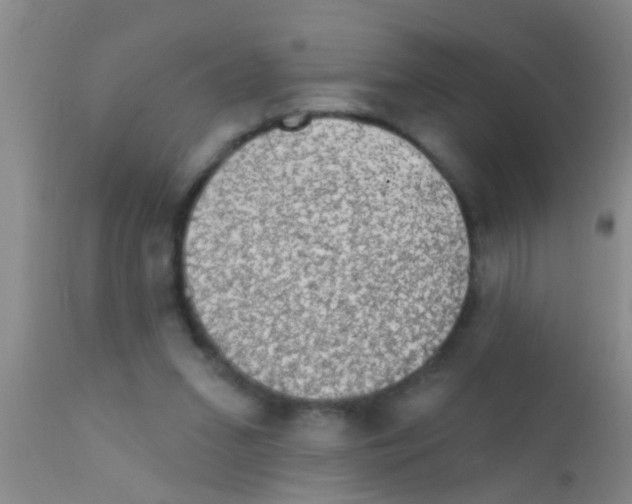 X0000111890207200909031913