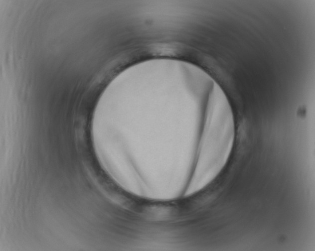 X0000111890209200909031913