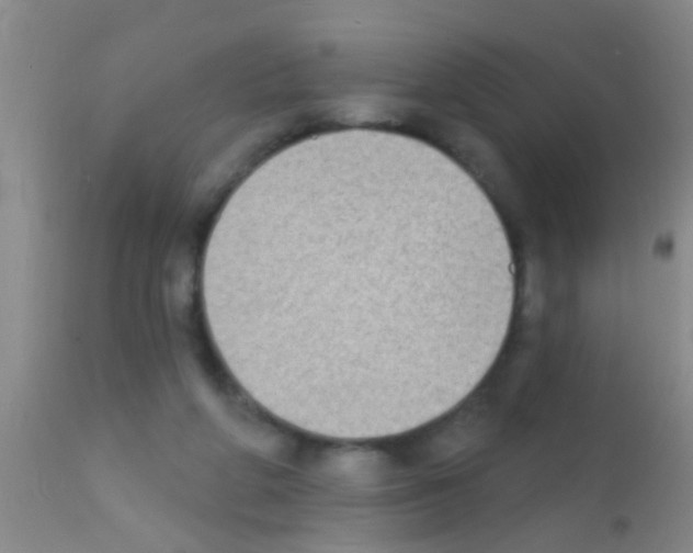 X0000111890210200909031913