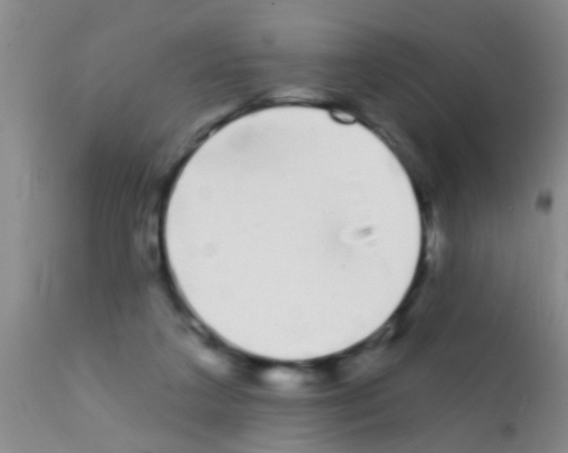 X0000111890211200909031913