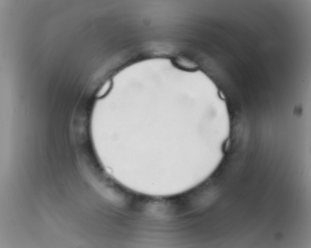 X0000111890215200909031913