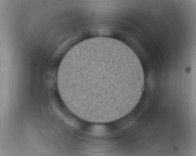 X0000111890218200909031912