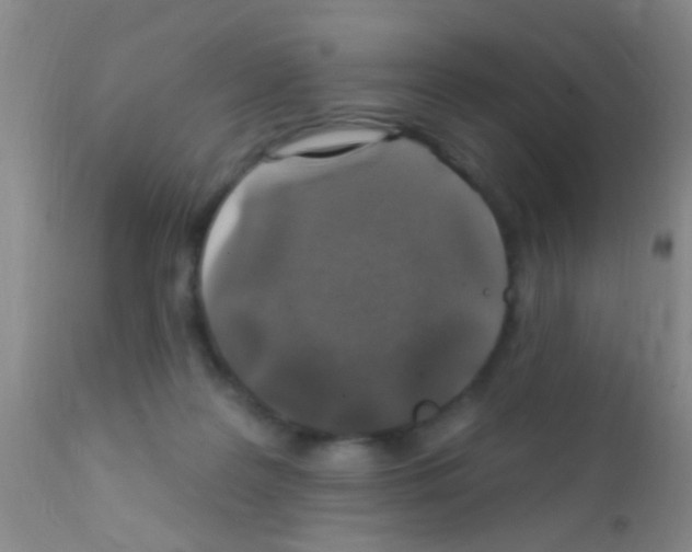 X0000111890219200909031912