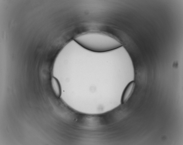 X0000111890221200909031912