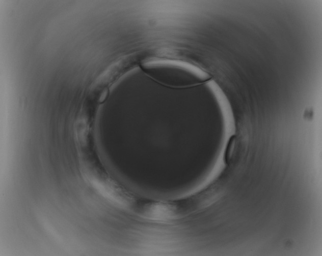 X0000111890223200909031912