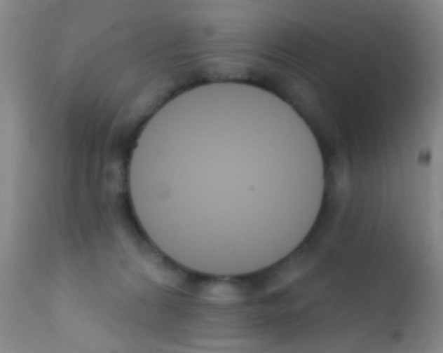 X0000111890224200909031912