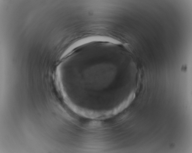 X0000111890227200909031912