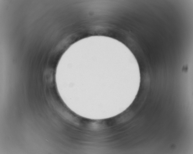 X0000111890232200909031912