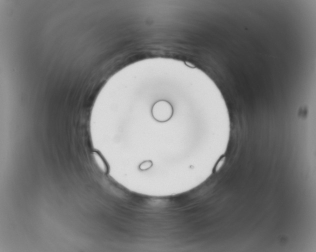 X0000111890233200909031912