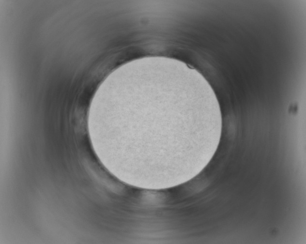 X0000111890234200909031912