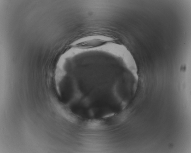 X0000111890235200909031912