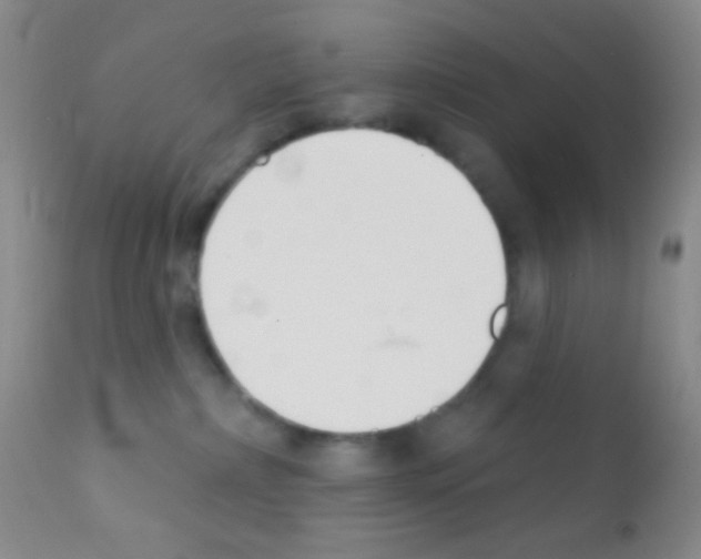 X0000111890236200909031912