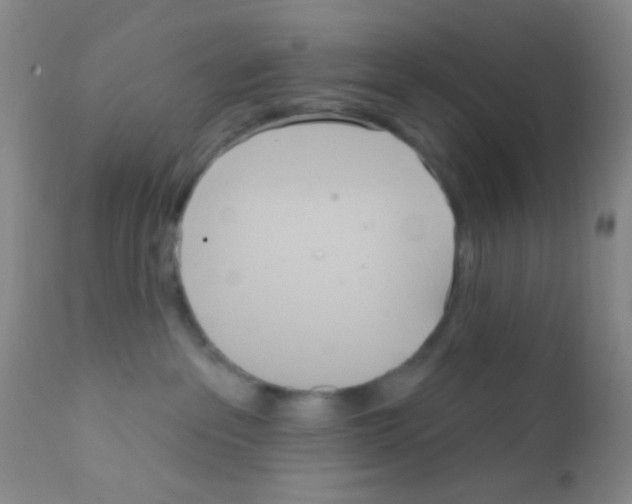 X0000111890237200909031912