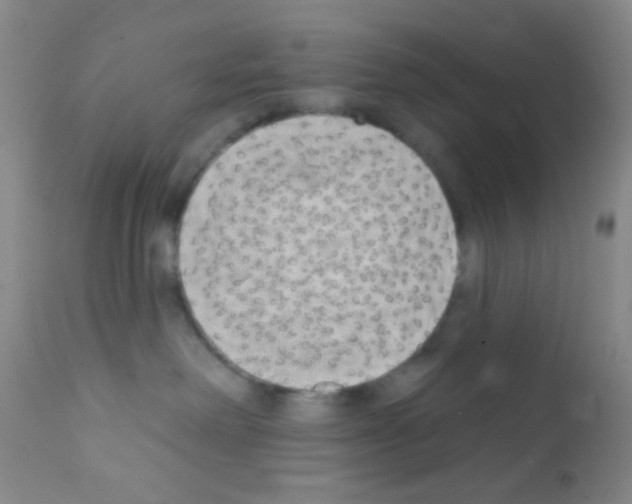 X0000111890238200909031912